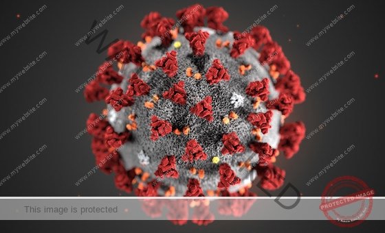 Covid-19 Illness
